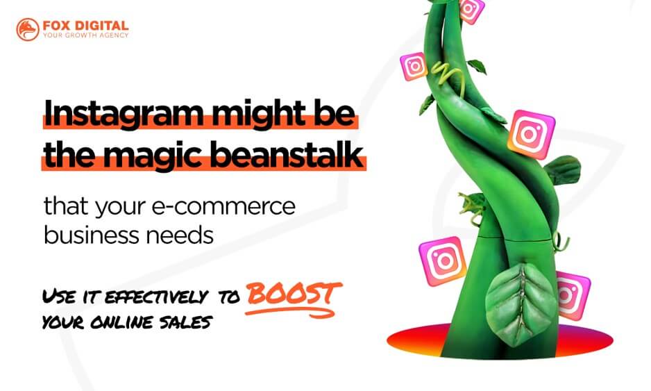 Instagram attracts Revenue for your e-Commerce Business